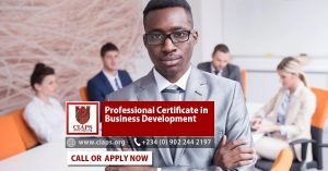 Professional Certificate in Business Development and Strategy