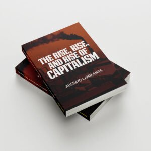 The Rise, Rise, & Rise of Captialism by Adebayo Lamikanra